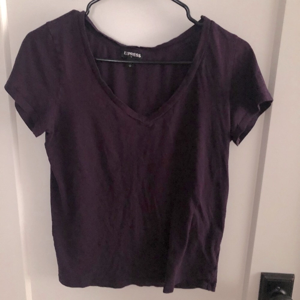 Express plum v-neck Size small t-shirt